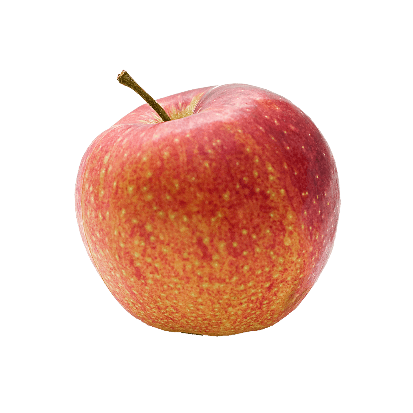 Melon