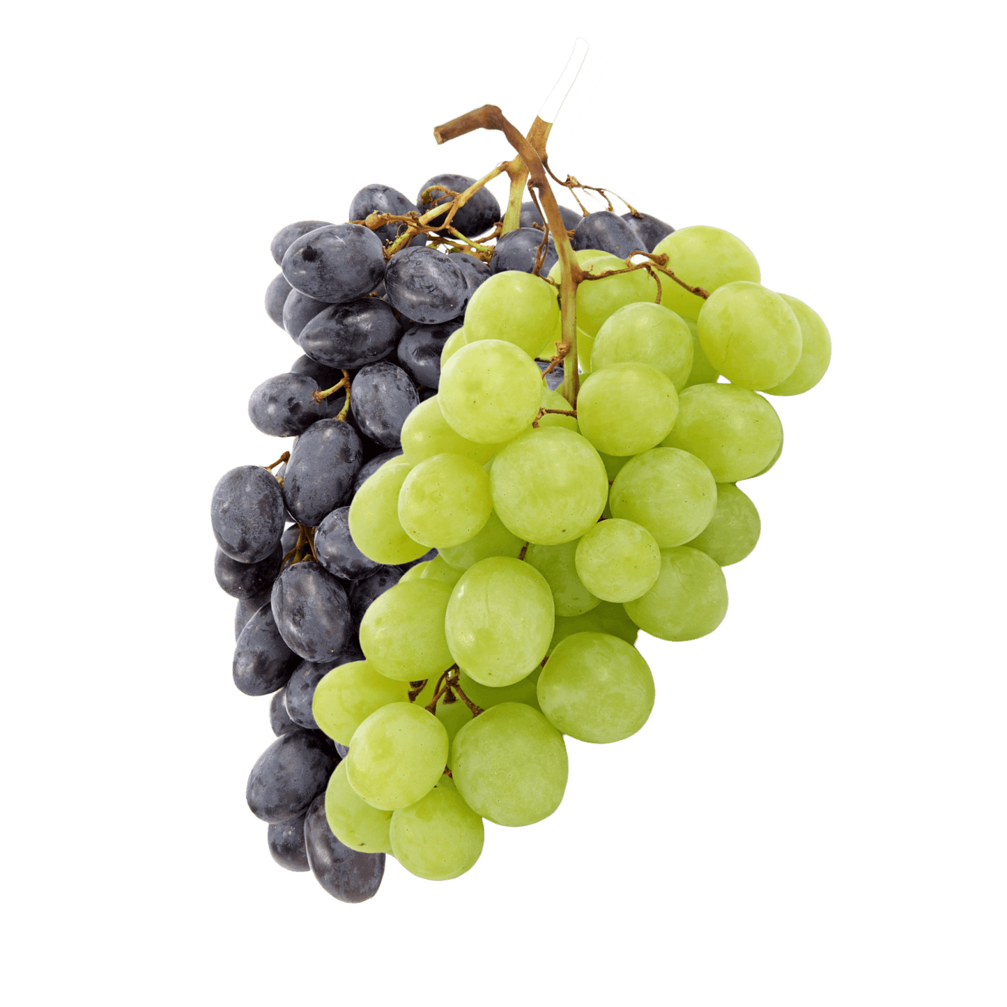 Grapes