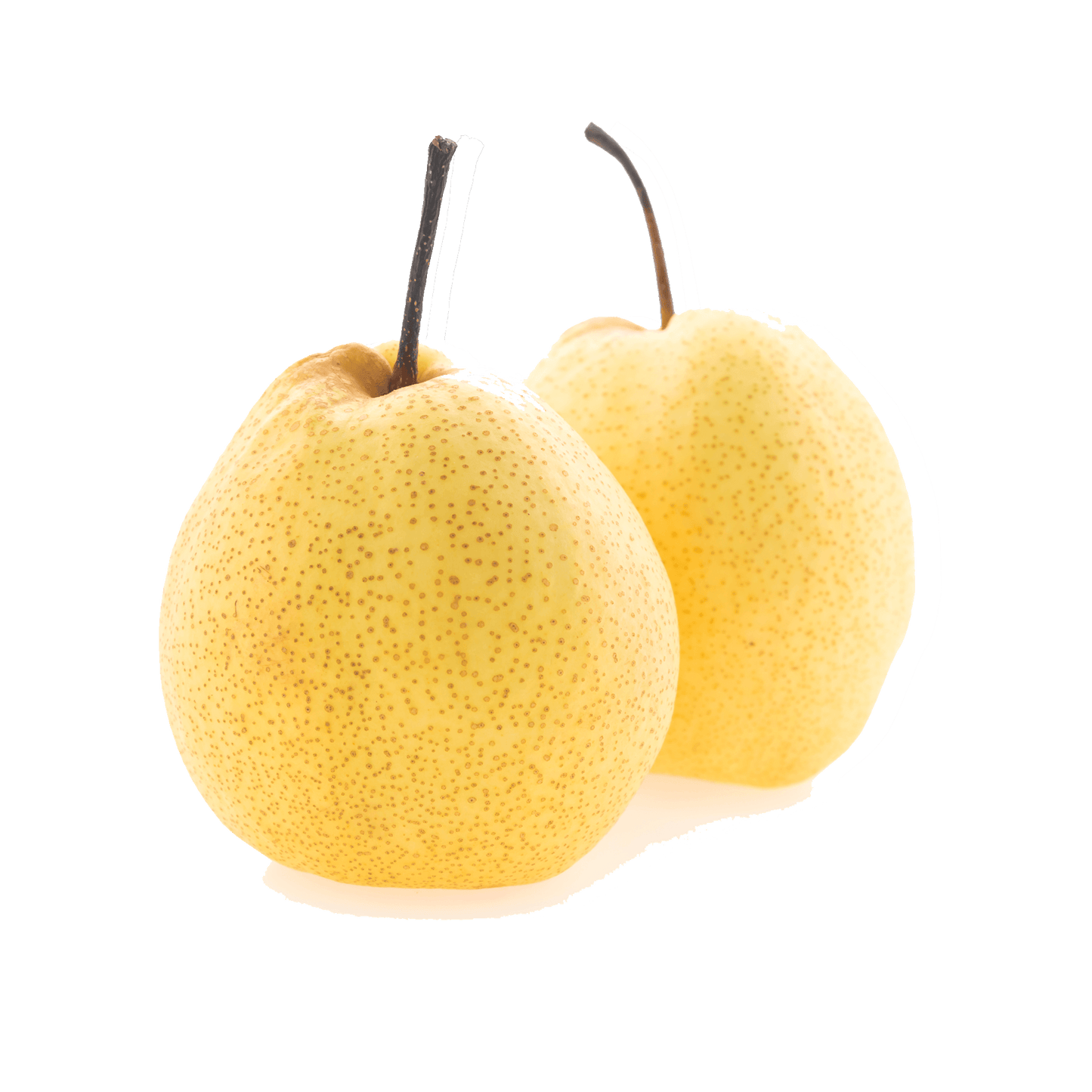 Pear