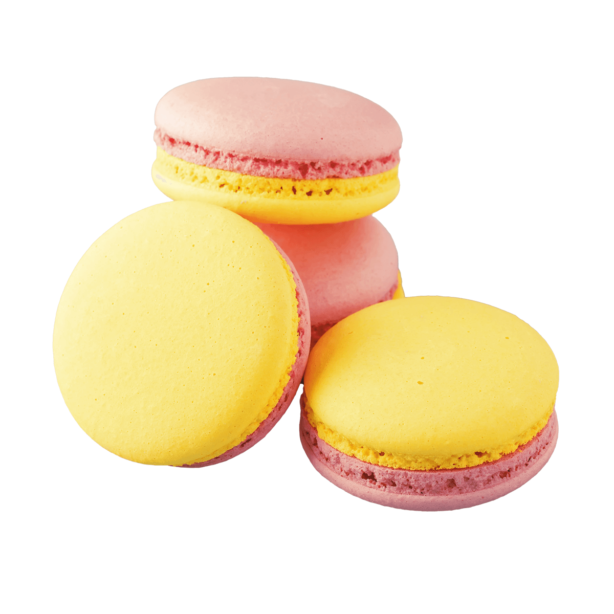 Macaroon No.1