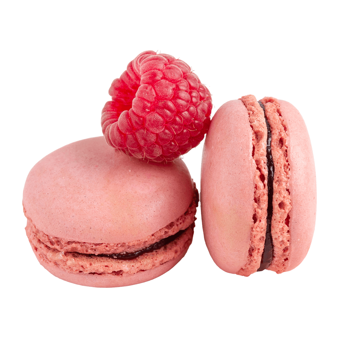 Macaroon No.1