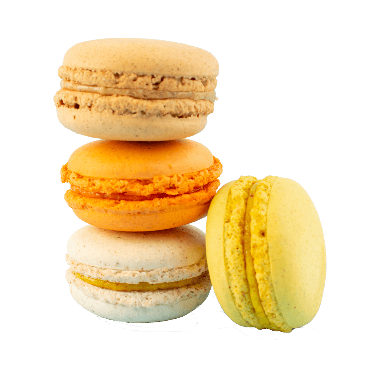 Macaroon No.6