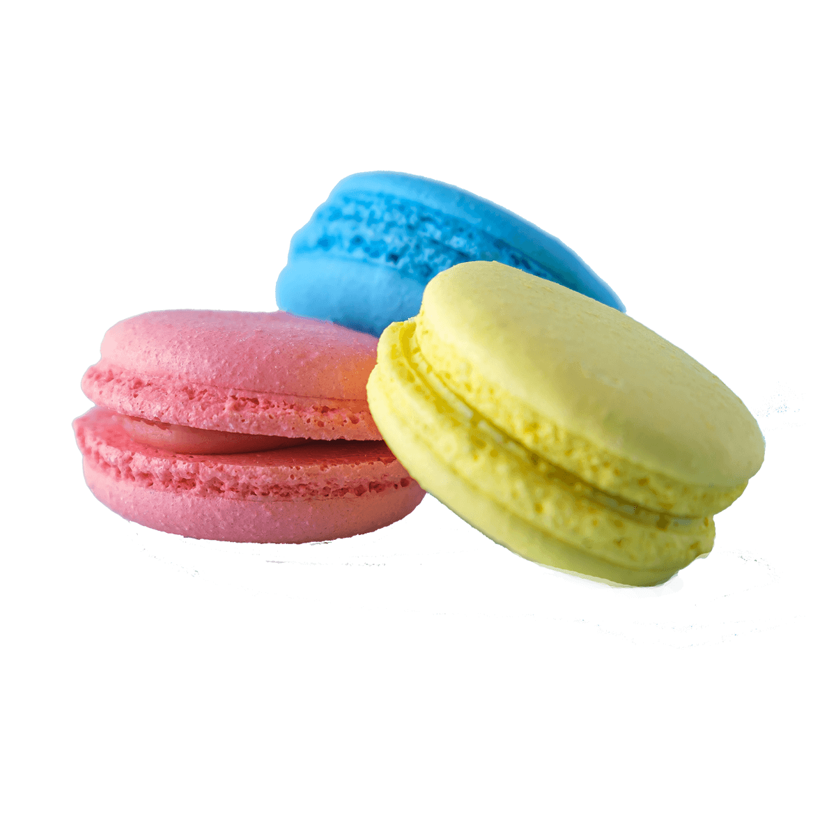 Macaroon No.6